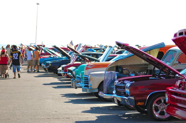 Unleash Your Inner Explorer: The Definitive Style Guide for Chic Safari Adventures in UK National Parks